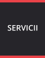 SERVICII